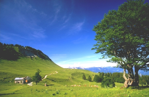 Yelloh! Village Les 4 Montagnes