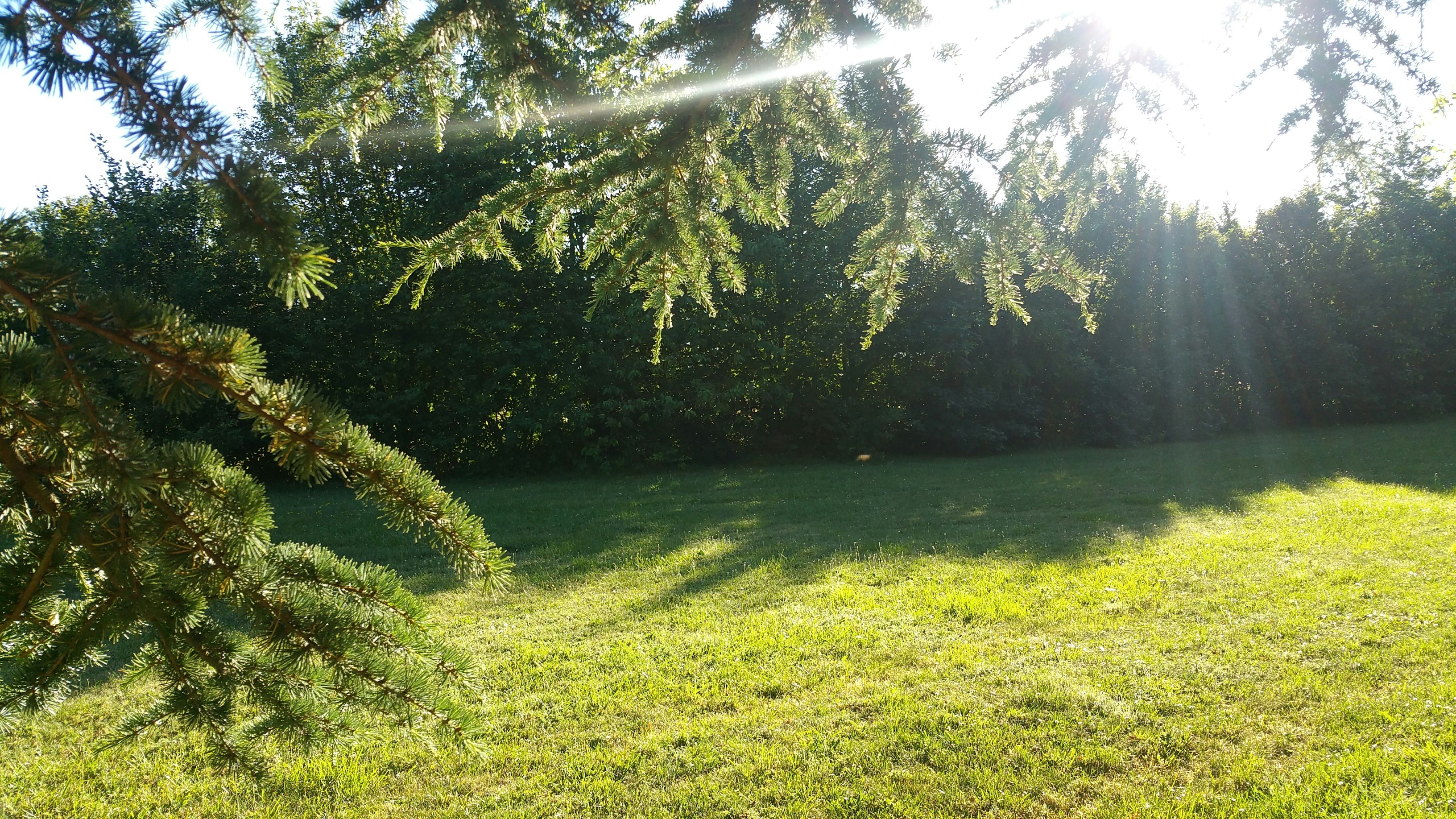 Camping Au Tour de l'Aveyron