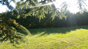 Camping Au Tour de l'Aveyron