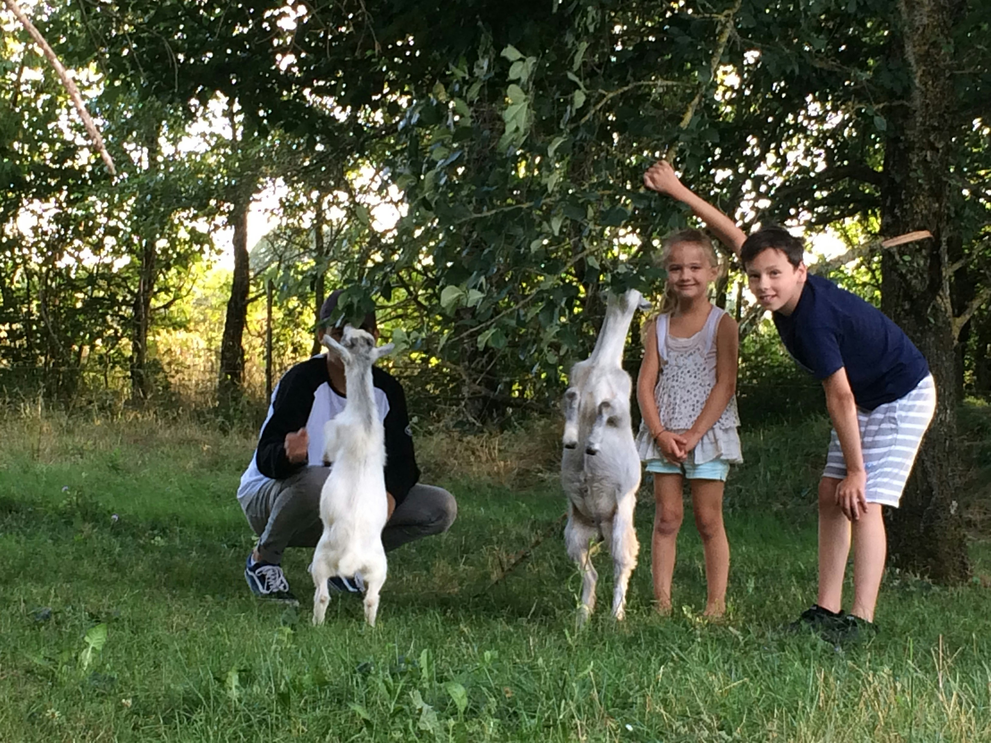 Camping Au Tour de l'Aveyron