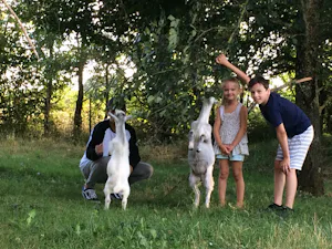 Camping Au Tour de l'Aveyron
