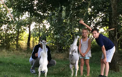 Camping Au Tour de l'Aveyron