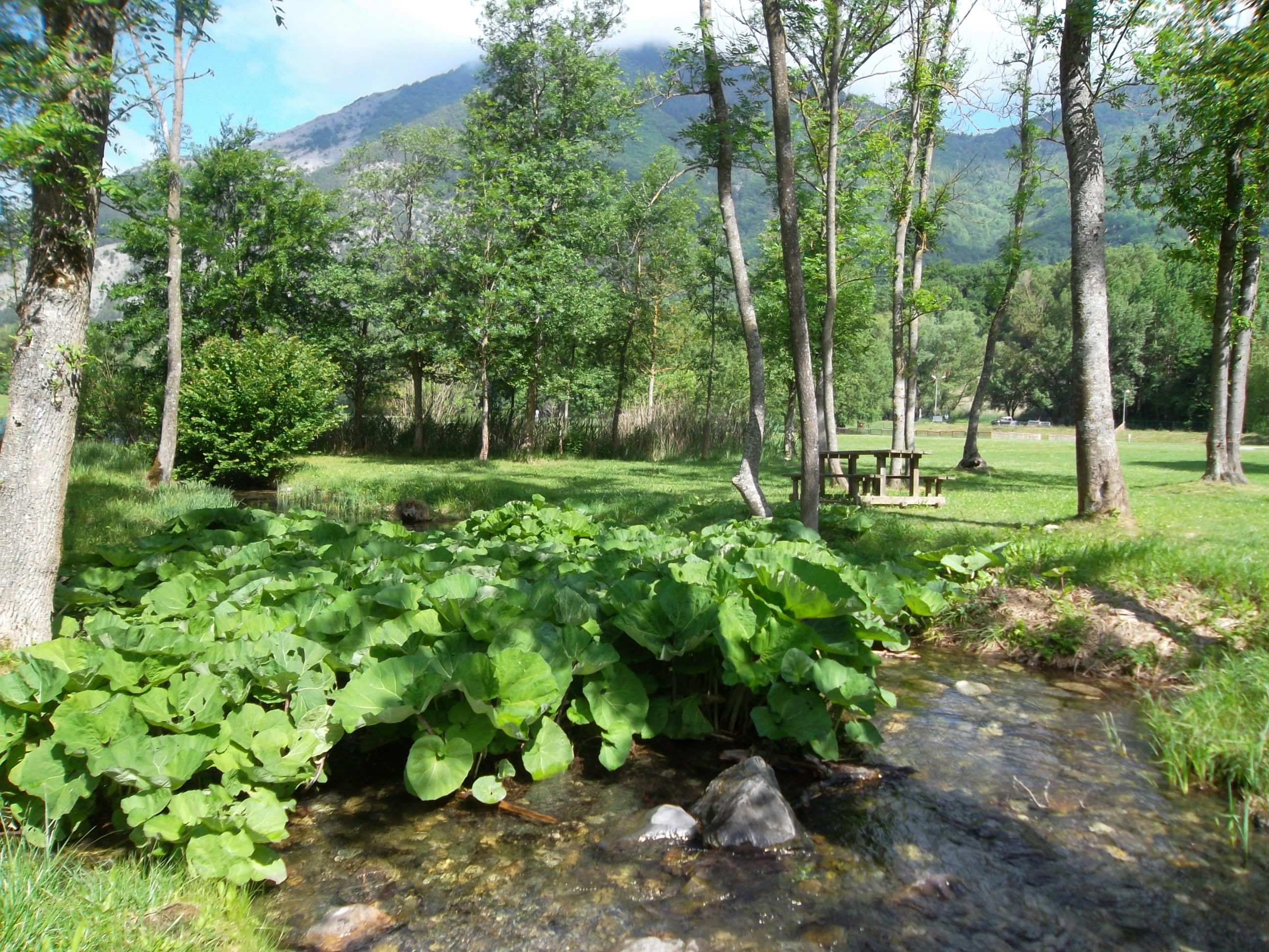 Camping au Valbonheur - Blick auf den Campingplatz im Grünen