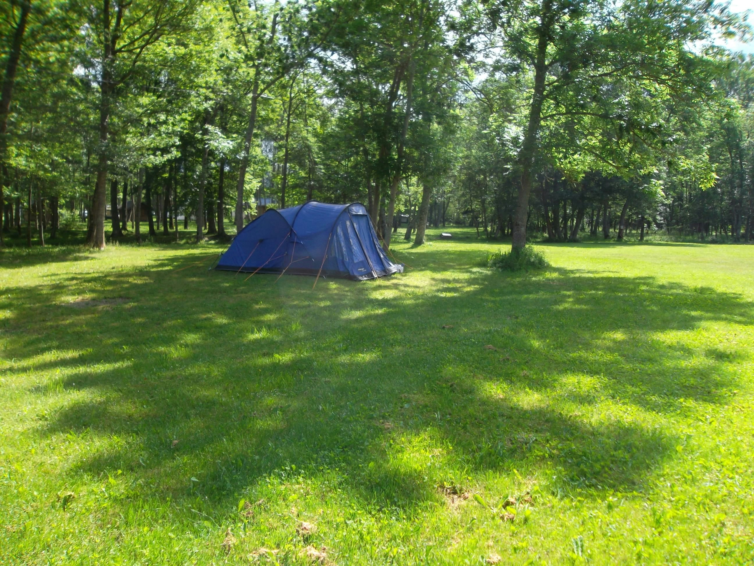 Camping au Valbonheur - Zeltwiese auf dem Campingplatz