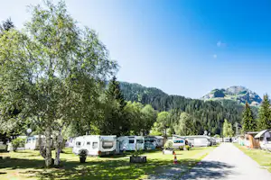 Campingplatz mit Wohnmobilen und Wohnwagen, Wiese und Birken im Vordergrund, dahinter hohe Berge und Tannenwald.