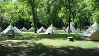 Camping Autodromo -  Zeltplatz im Schatten der Bäume