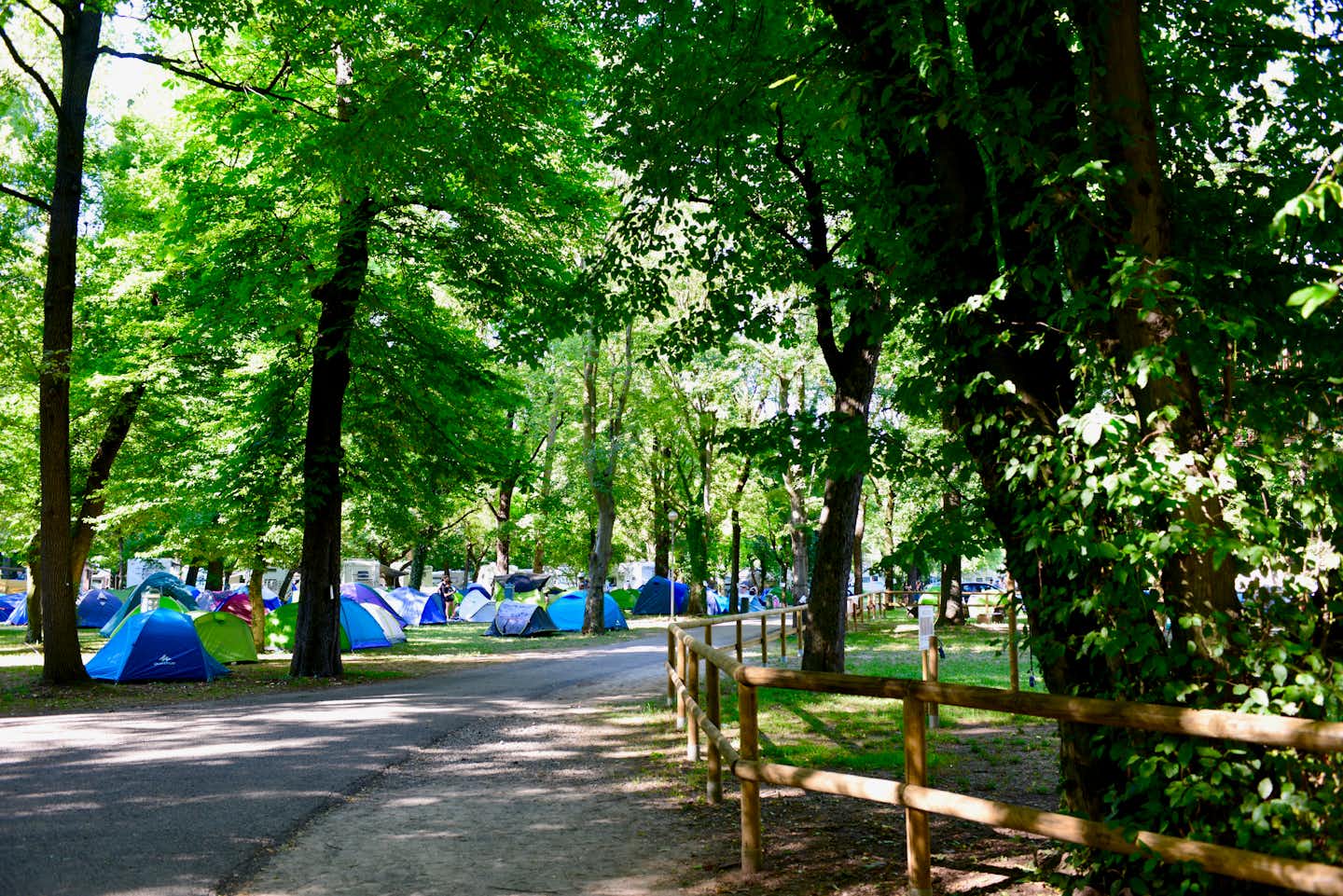 Camping Autodromo - Zeltplatz im Schatten der Bäume