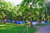 Camping Autodromo - Zeltwiese unter Bäumen