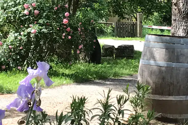 Camping Aux Tonneaux