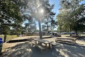 Camping Avenches Plage - Picknicktische auf dem Campingplatz