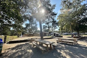 Camping Avenches Plage - Picknicktische auf dem Campingplatz