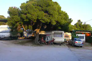 Camping Bacchus