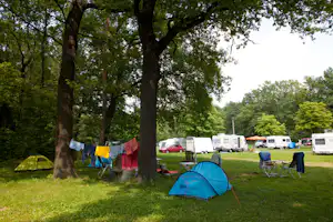 Campingwiese mit blauem Zelt, Wäscheleine und Wohnmobilen im Hintergrund zwischen großen Bäumen.