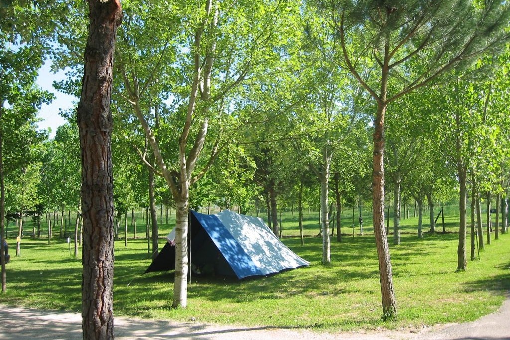 Camping Badiaccia - Ein Zelt auf dem Zeltstellplatz zwischen Bäumen