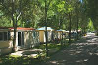 Camping Badiaccia - Mobilheime an einer Allee des Campingplatzes