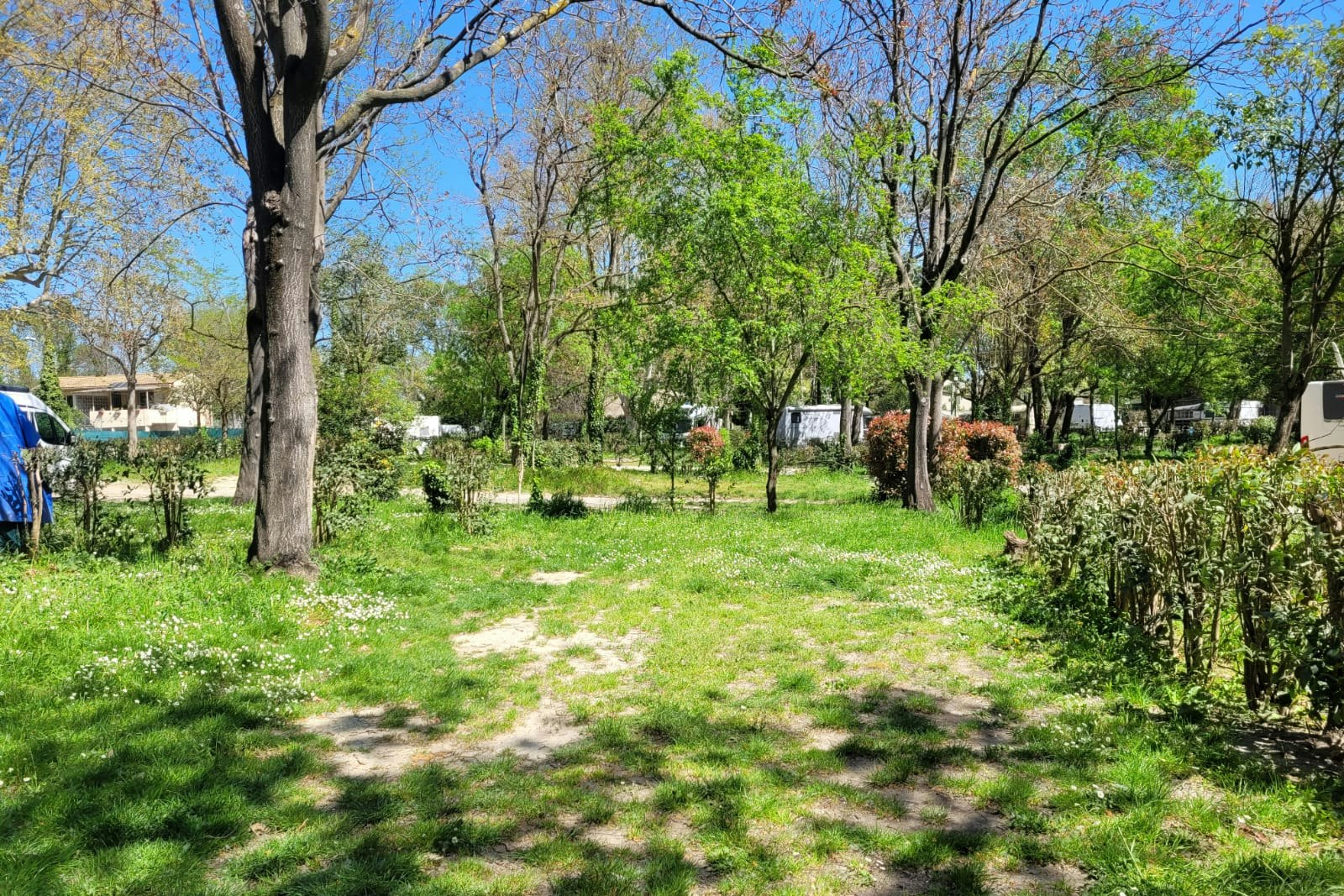 Camping Bagatelle sonniger Standplatz auf Wiesenuntergrund