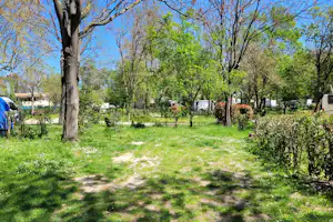 Camping Bagatelle sonniger Standplatz auf Wiesenuntergrund