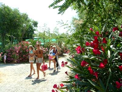 Camping Baia del Marinaio