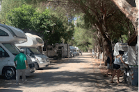 Camping Baia del Sole - Wohnmobil- und  Wohnwagenstellplätze im Schatten der Bäume