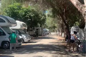 Camping Baia del Sole - Wohnmobil- und Wohnwagenstellplätze im Schatten der Bäume