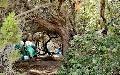Camping Baia Paradiso