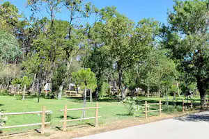 Camping Baia Verde - Wohnwagen- und Zeltstellplatz im Grünen
