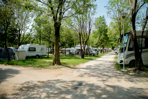 Camping Baia Verde - Standplätze zwischen den Bäumen auf dem Campingplatz