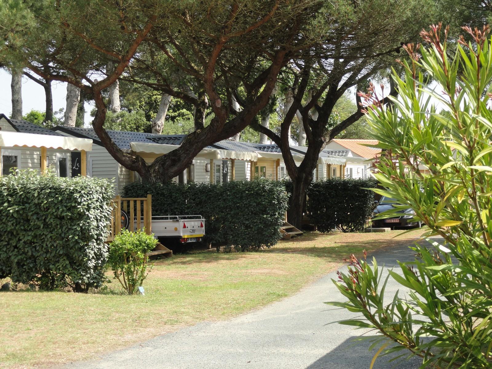 Camping Baie d'Aunis