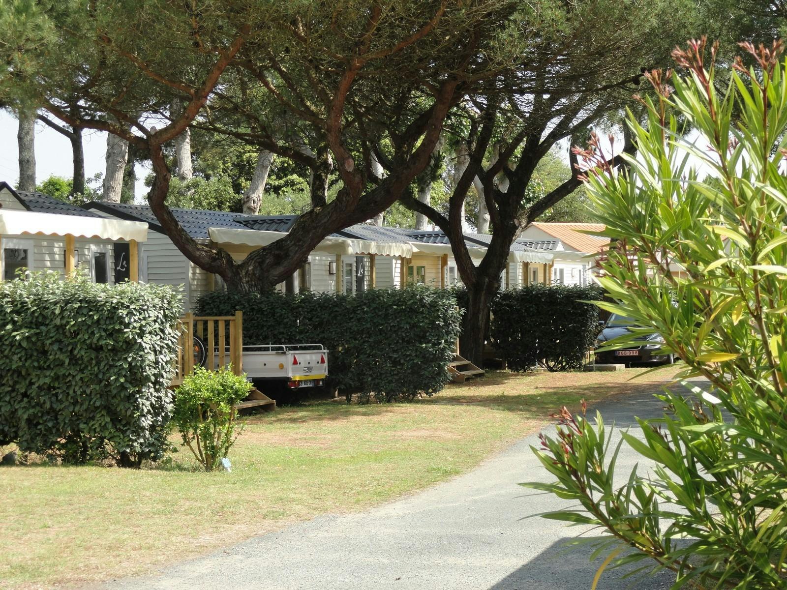 Camping Baie d'Aunis