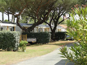 Camping Baie d'Aunis