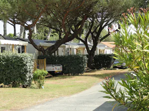 Camping Baie d'Aunis
