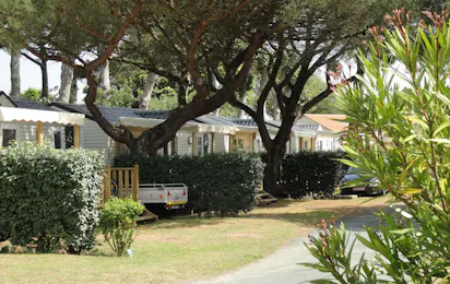 Camping Baie d'Aunis