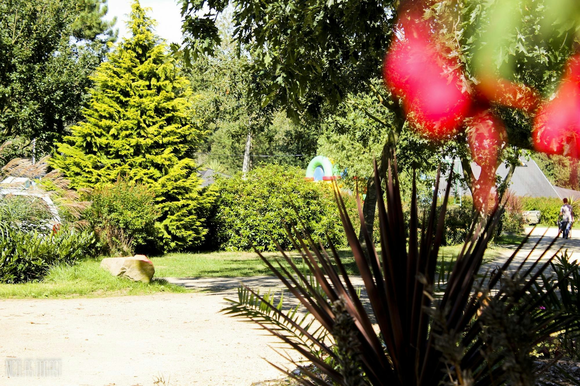Camping Baie de Térénez - Standplätze im Grünen auf dem Campingplatz