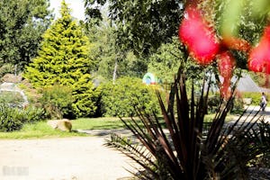 Camping Baie de Térénez - Standplätze im Grünen auf dem Campingplatz