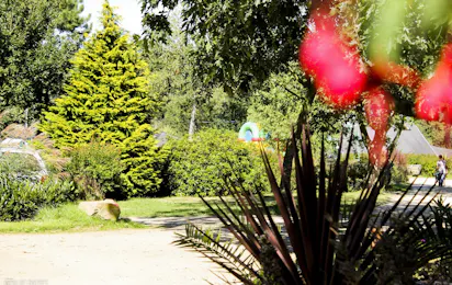 Camping Baie de Térénez