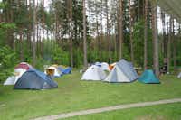 Camping Baili - Zeltplatz im Schatten der Bäume
