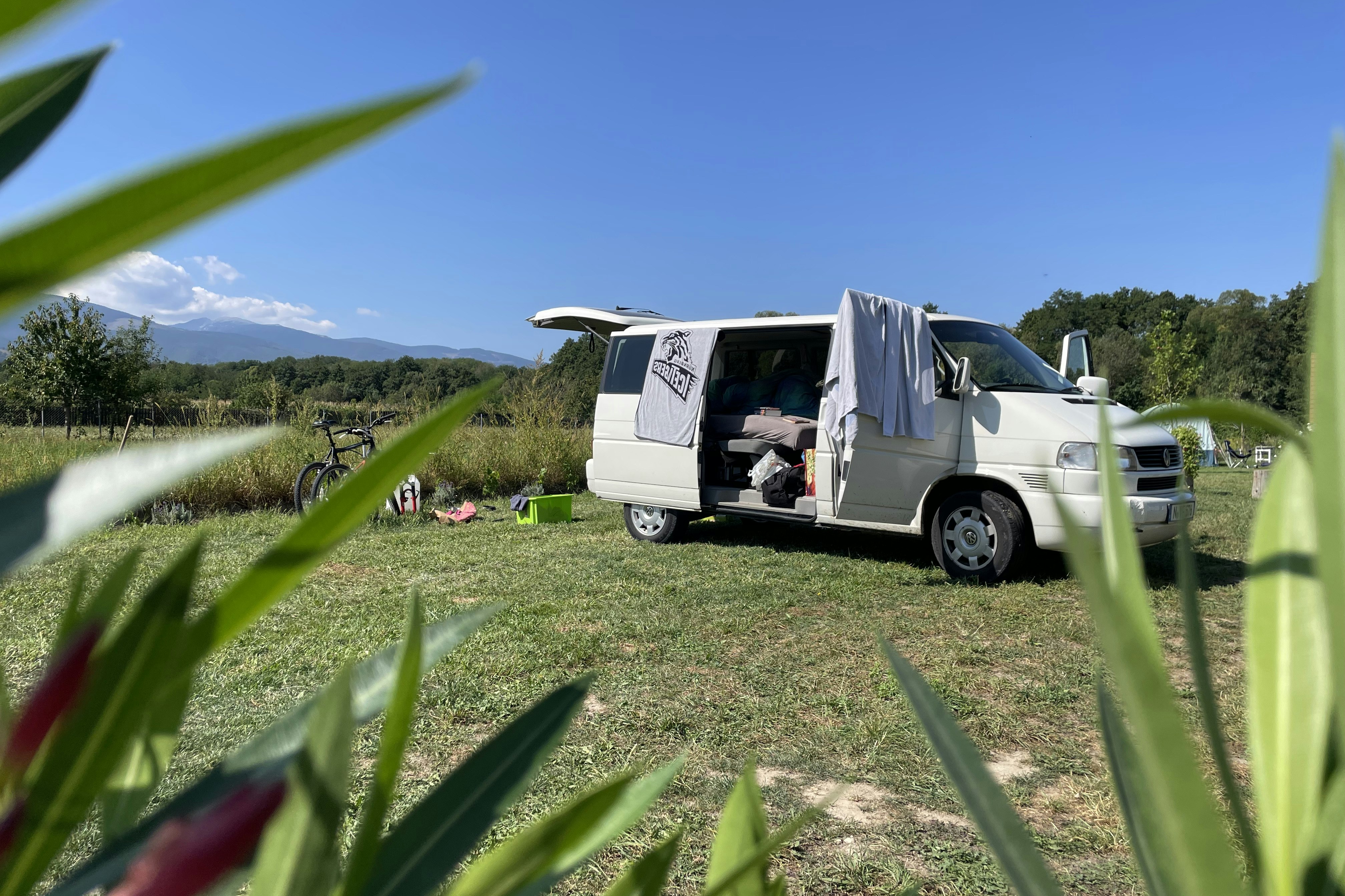 Camping Baleia - Standplätze auf dem Campingplatz
