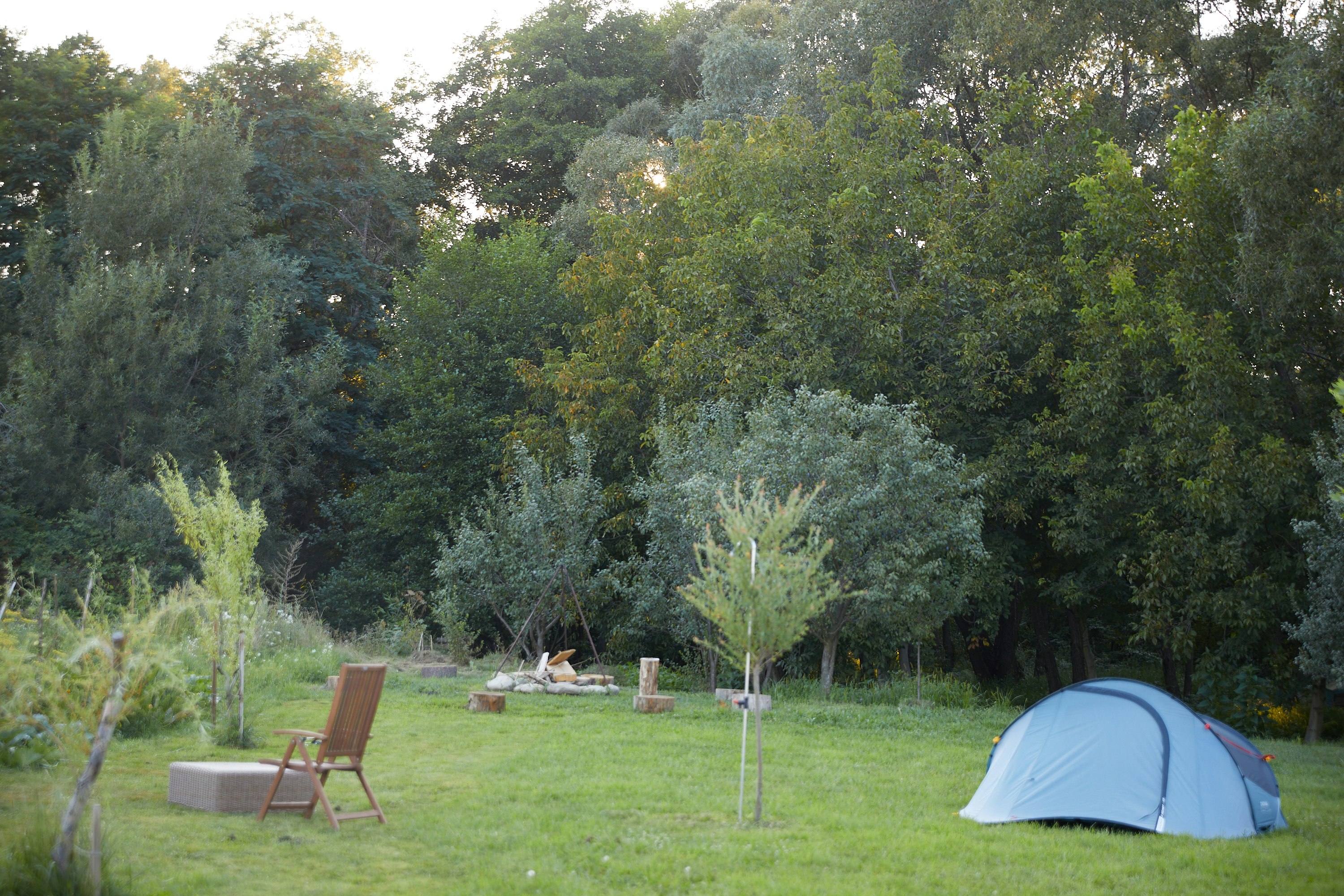 Camping Baleia - Standplatzwiese auf dem Campingplatz