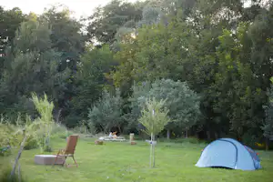 Camping Baleia - Standplatzwiese auf dem Campingplatz