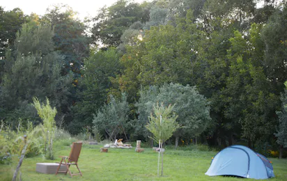 Camping Baleia