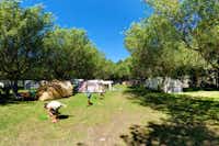 Camping Baliera - Zelt- und Wohnwagenstellplatz im Schatten der Bäume auf dem Campingplatz