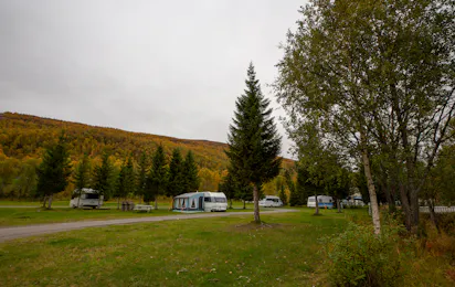 Camping Ballangen