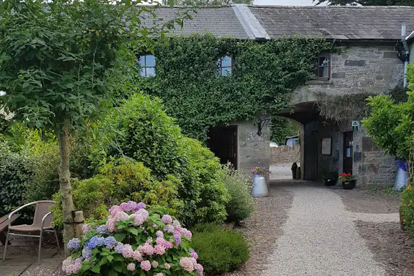 Ballinacourty House Caravan & Camping