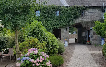 Ballinacourty House Caravan & Camping