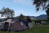 Camping Ballinacourty House - Zelte auf der Zeltwiese des Campingplatzes