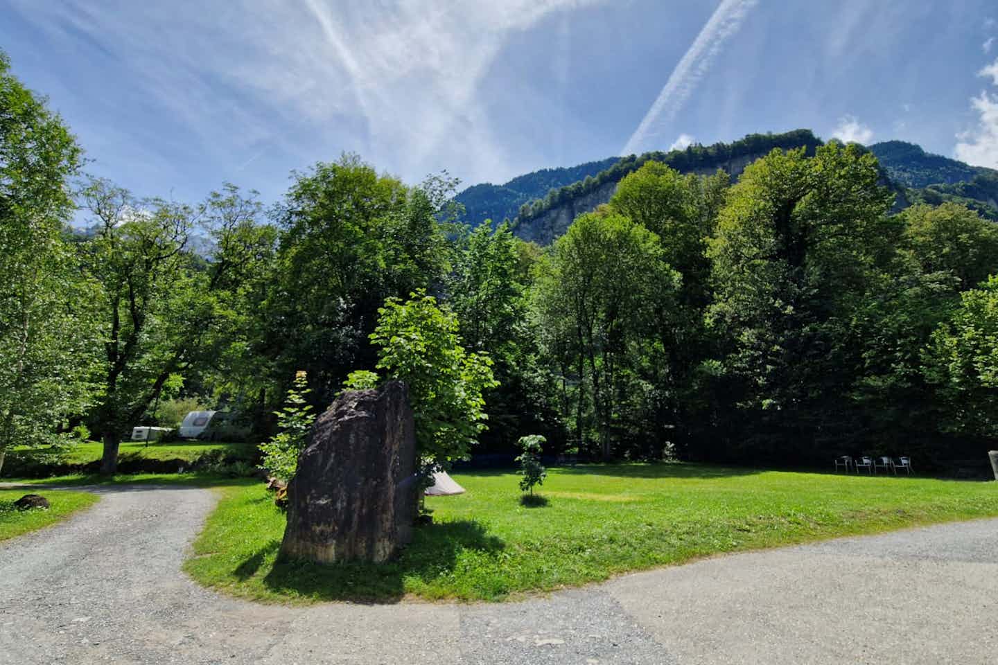 Camping Balmweid - Standplätze im Grünen auf dem Campingplatz