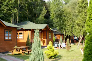 Camping Baltic (Nr. 78) - Mietbungalows im Grünen
