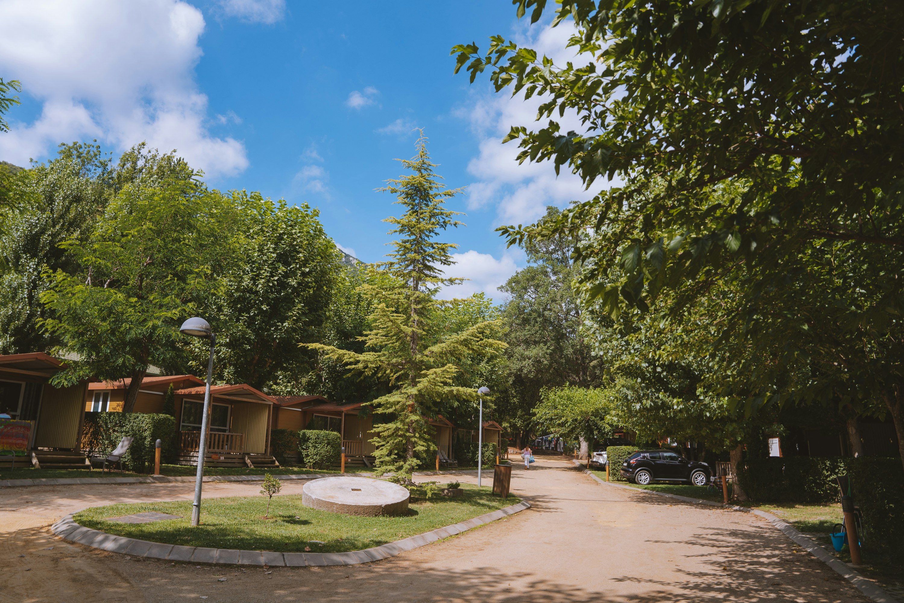 TAIGA Bassegoda Park