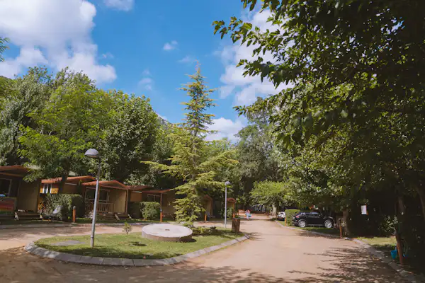 TAIGA Bassegoda Park