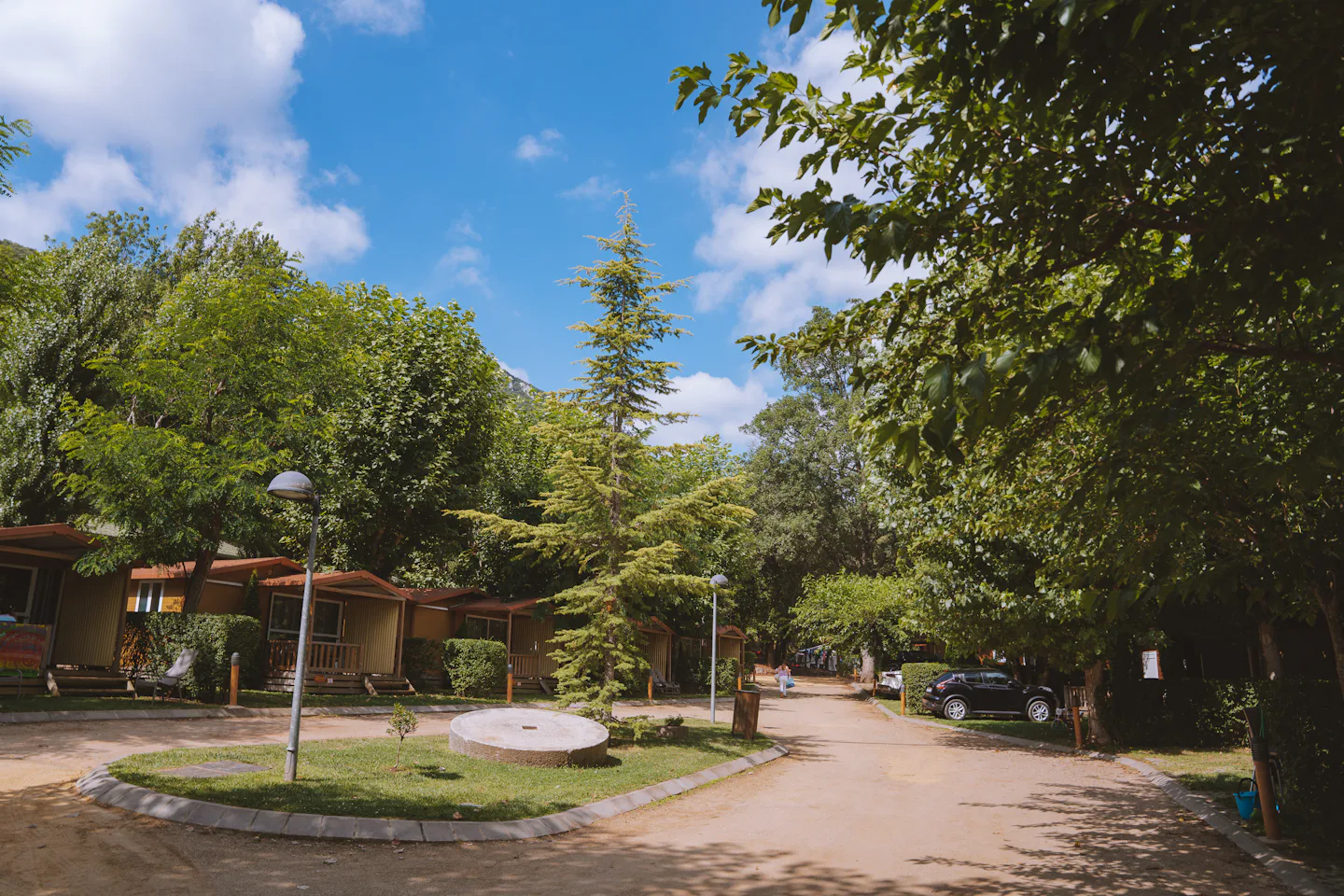 TAIGA Bassegoda Park